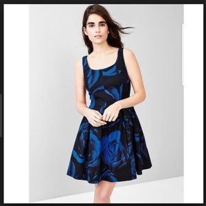 GAP Black and Blue Floral A-line Dress